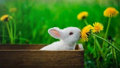 爱游戏娱乐-电竞电竞游戏公平竞技环境构建及技术挑战解决方案，电竞竞技概论