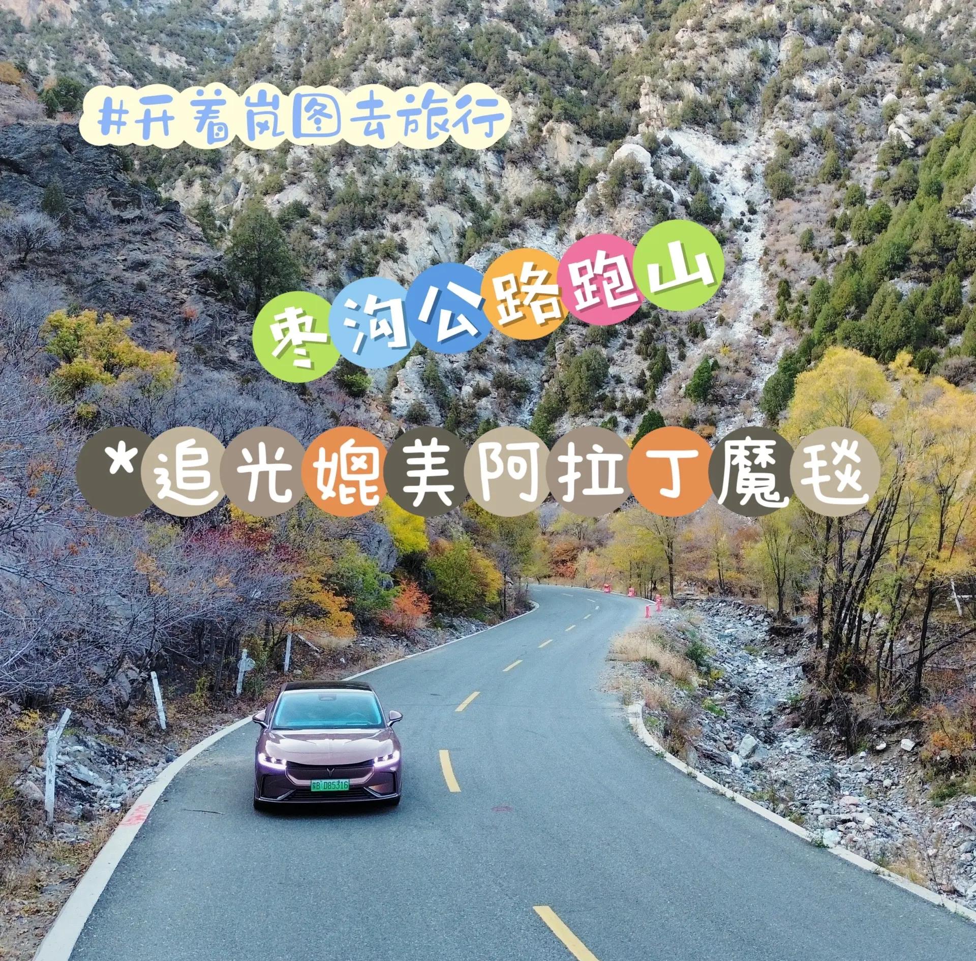 关于野外森林越野跑挑战赛，探索未知的自然秘境的信息